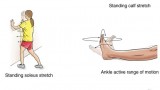 What İs Heel Spur Exercises?