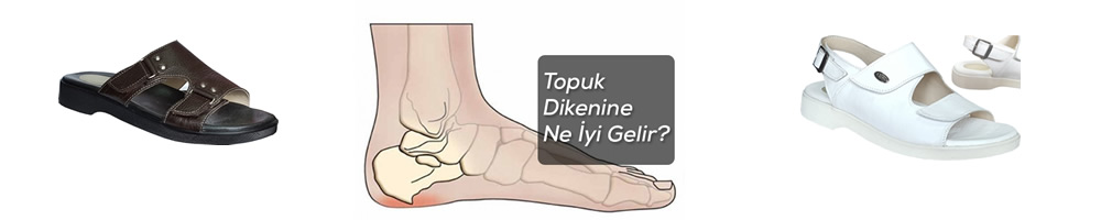 erkek-topuk-dikeni-terligi